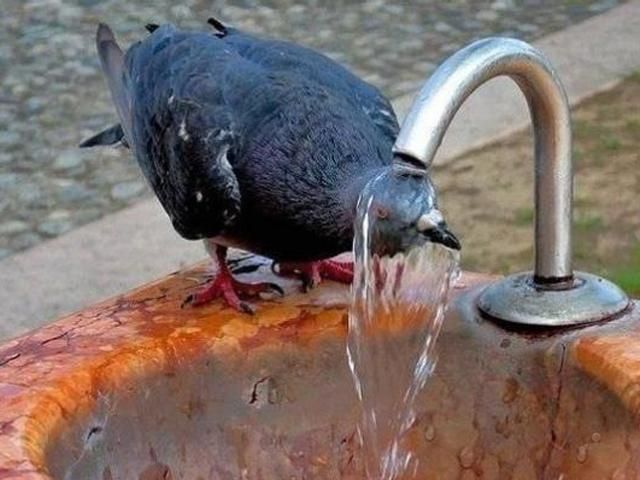 На выходных в Украине - жара На выходных в Украине - жара