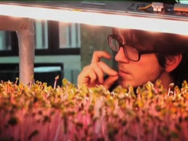 В Німеччині придумали "портативний" город В Німеччині придумали "портативний" город