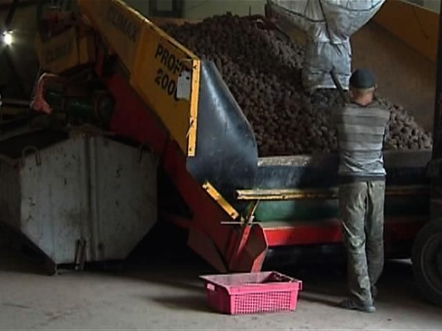 Українська городина не витримує цінової конкуренції з імпортом