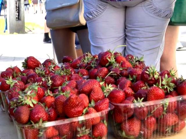 Цены на клубнику упали почти в 1,5 раза, - эксперты Цены на клубнику упали почти в 1,5 раза, - эксперты
