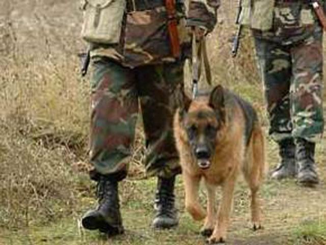 Террористы не захватывали Луганский пограничный отряд, — ГПСУ Террористы не захватывали Луганский пограничный отряд, — ГПСУ