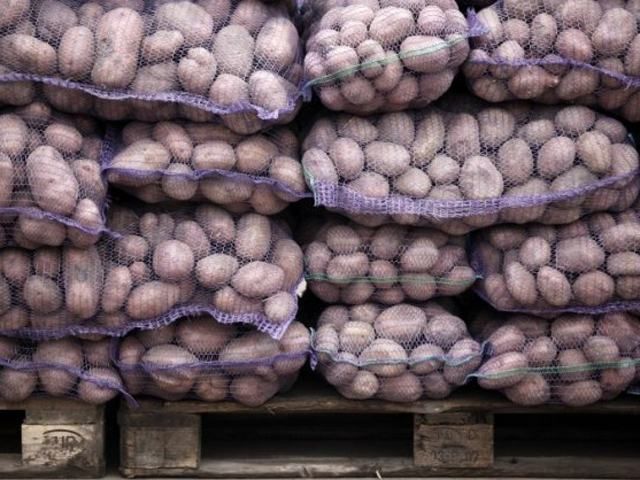 Росія заборонила ввезення картоплі з України