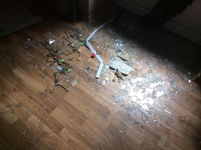 На Донеччині розгромили дачу Януковича (Фото) На Донеччині розгромили дачу Януковича (Фото)