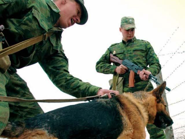 Російські прикордонники заявили про порушення держкордону українською БМП Російські прикордонники заявили про порушення держкордону українською БМП