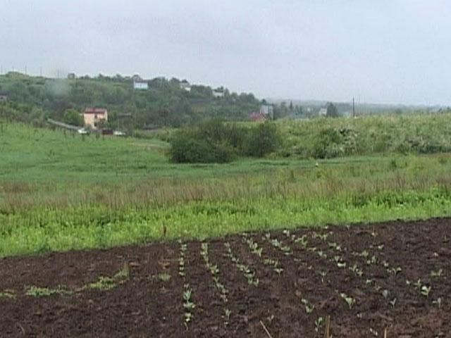 Участникам АТО бесплатно будут выделять землю Участникам АТО бесплатно будут выделять землю