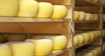 В результате претензий со стороны России экспорт украинского сыра сократился на 41%, — эксперты