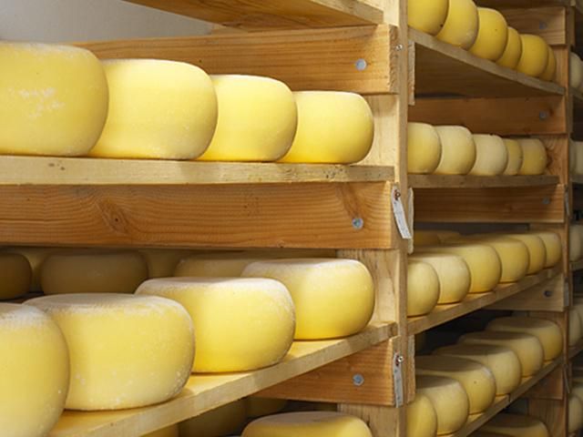 В результате претензий со стороны России экспорт украинского сыра сократился на 41%, — эксперты