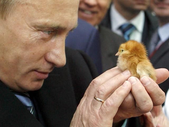 Путин предлагает, чтобы украинские и российские пограничники вместе контролировали границу Путин предлагает, чтобы украинские и российские пограничники вместе контролировали границу