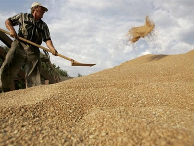 Украинские аграрии не будут отгружать зерно через порты Крыма