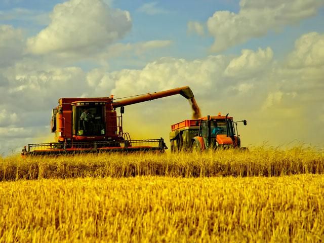 На Донеччині терористи спалюють поля з урожаєм, — Бригинець На Донеччині терористи спалюють поля з урожаєм, — Бригинець