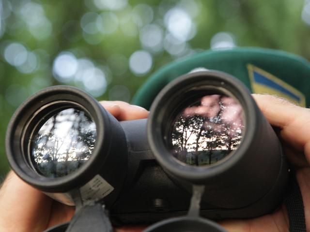 Підрозділи ЗСУ обстріляли з "Градів" з боку кордону РФ, — Держприкордонслужба Підрозділи ЗСУ обстріляли з "Градів" з боку кордону РФ, — Держприкордонслужба