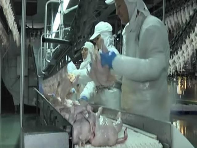 Українські сільгоспвиробники відкривають нові ринки Українські сільгоспвиробники відкривають нові ринки