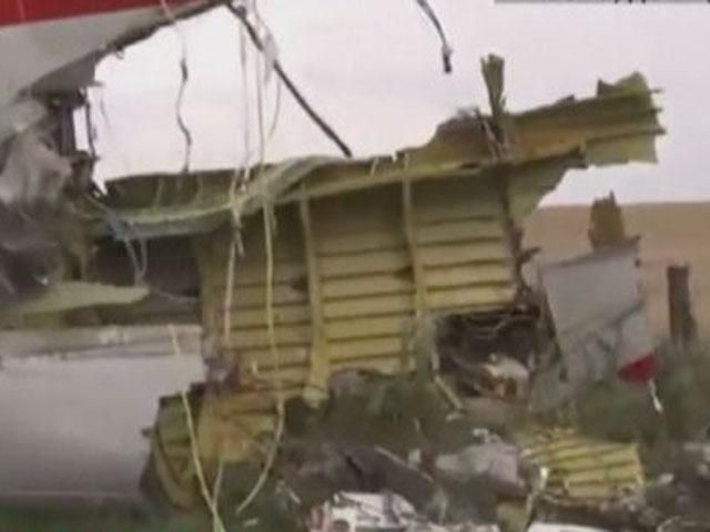 На месте падения пассажирского "Боинга" — сотни изувеченных тел (ВИДЕО)