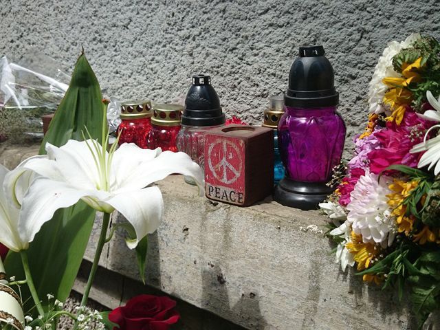 Львів’яни продовжують зносити квіти, свічки й іграшки до посольства Нідерландів (Фото) Львів’яни продовжують зносити квіти, свічки й іграшки до посольства Нідерландів (Фото)