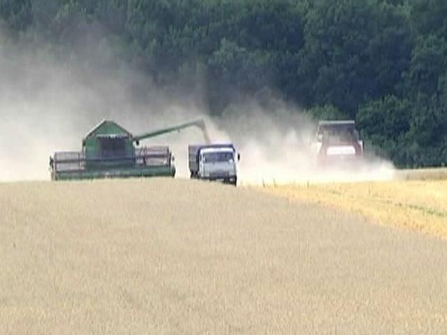 На Луганщині хліб збирають під наглядом МНС та військових (Відео) На Луганщині хліб збирають під наглядом МНС та військових (Відео)