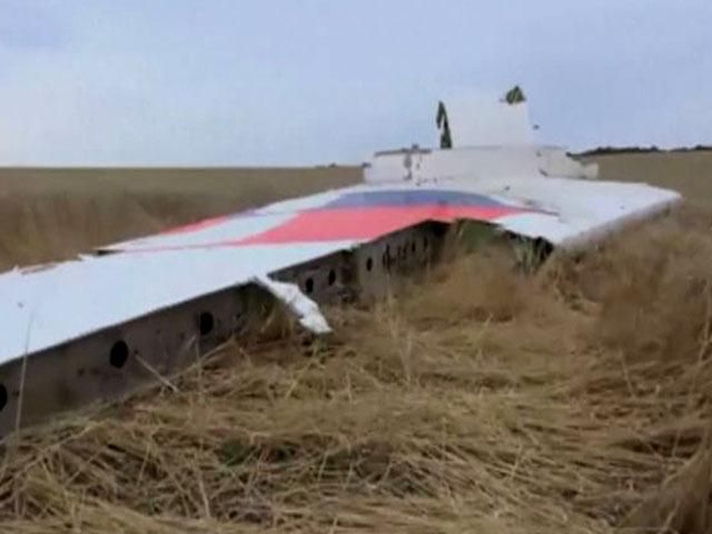 Мир требует независимого расследования падения малайзийского лайнера Мир требует независимого расследования падения малайзийского лайнера