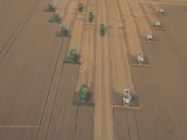 Жнива - найгарячіша пора для логістичних компаній Жнива - найгарячіша пора для логістичних компаній