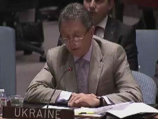 Резолюция поможет провести независимое международное расследование, — Сергеев Резолюция поможет провести независимое международное расследование, — Сергеев