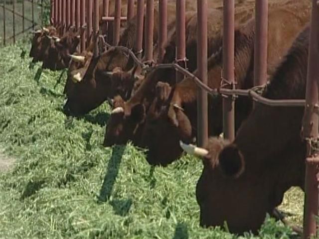 Аграрії проти переведення на загальну систему оподаткування Аграрії проти переведення на загальну систему оподаткування