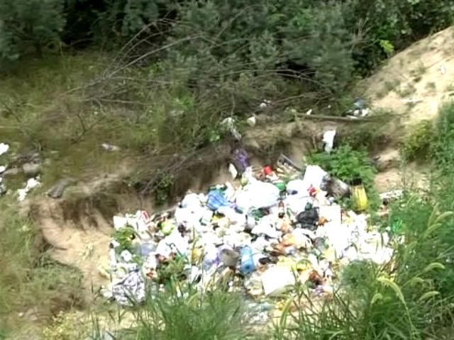 Недобросовестные строители загрязнили озеро в Киеве Недобросовестные строители загрязнили озеро в Киеве