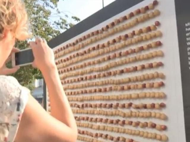 "Наиболее органичная зарядка" для телефонов состоит из 800 картофелин и яблок. "Наиболее органичная зарядка" для телефонов состоит из 800 картофелин и яблок.