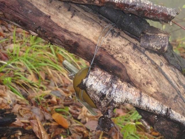 Піротехніки ДСНС знешкодили у Слов'янську 39 розтяжок з гранатами Піротехніки ДСНС знешкодили у Слов'янську 39 розтяжок з гранатами