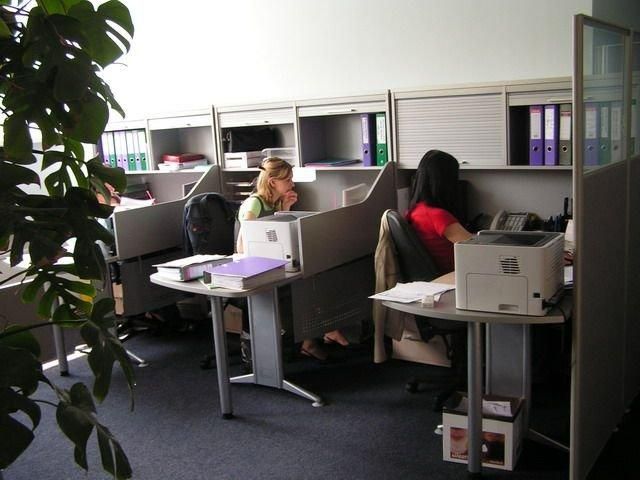 Мінсоцполітики планує створити на Донбасі 300 тис. нових робочих місць Мінсоцполітики планує створити на Донбасі 300 тис. нових робочих місць