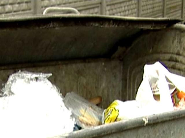 В частном секторе Луганска прекратили вывоз мусора на полмесяца В частном секторе Луганска прекратили вывоз мусора на полмесяца