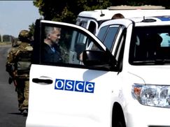 Представники ОБСЄ вперше за тиждень потрапили до місця аварії "Боїнга 777"