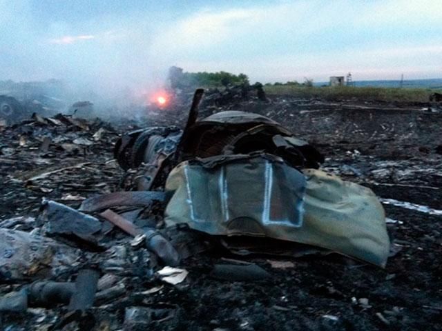 Международные инспекторы получили образцы ДНК 25-ти жертв малайзийского самолета