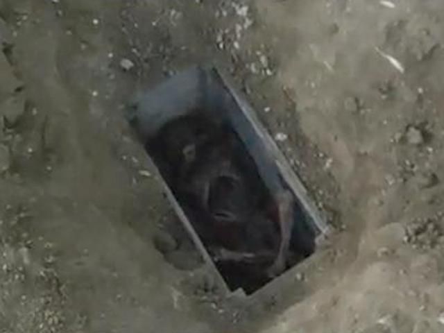 "Мальчик в коробке": триллер, основанный на реальных событиях "Мальчик в коробке": триллер, основанный на реальных событиях