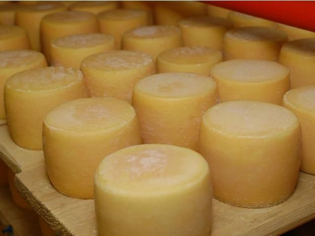 Росія планує купувати сири в Бразилії, а свинину - в ПАР Росія планує купувати сири в Бразилії, а свинину - в ПАР