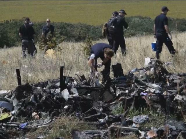 Група експертів ОБСЄ побувала на місці падіння літака
