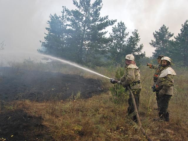 В Днепропетровской и Полтавской областях горело около 60 гектаров леса (Фото)