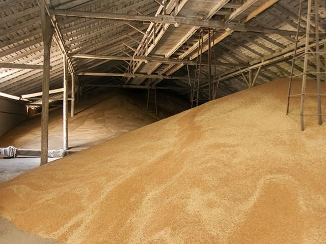 Україна до 4 серпня експортувала майже 2,4 млн тонн зерна, — Мінагропрод