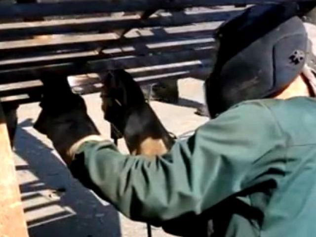Волонтеры помогают украинским бойцам восстанавливать БТРы (Видео)