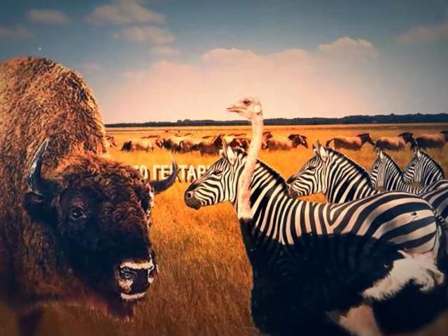 Херсонщина — здесь находится единственная в Украине пустыня Херсонщина — здесь находится единственная в Украине пустыня