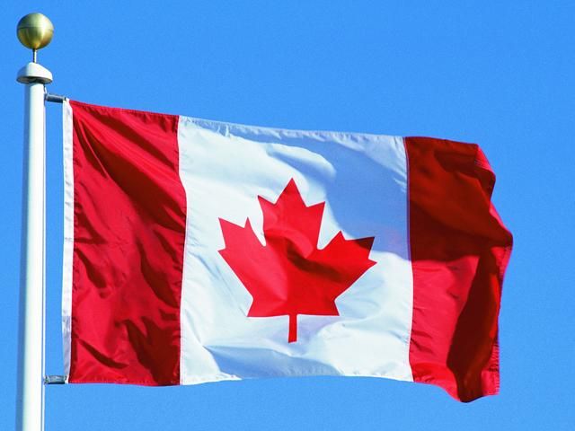 В Украину прибыл военный груз из Канады В Украину прибыл военный груз из Канады