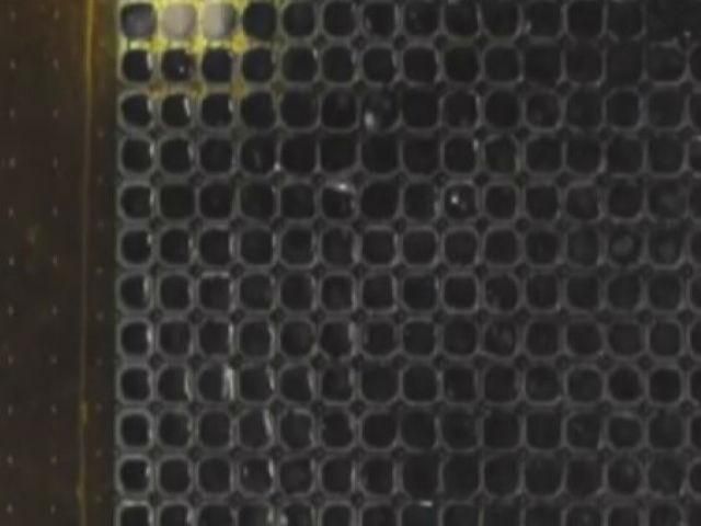 Оптоелектронний камуфляж змінює забарвлення відповідно до освітлення Оптоелектронний камуфляж змінює забарвлення відповідно до освітлення