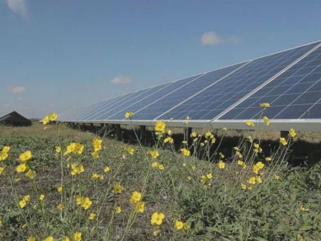 Китайские инвесторы просят Президента сохранить "зеленый тариф" Китайские инвесторы просят Президента сохранить "зеленый тариф"