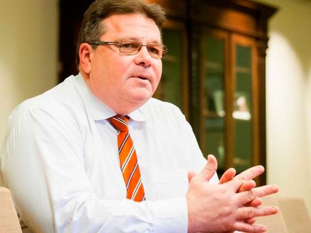 Литва відправить літак з гуманітарною допомогою Україні, — Лінкявічус Литва відправить літак з гуманітарною допомогою Україні, — Лінкявічус