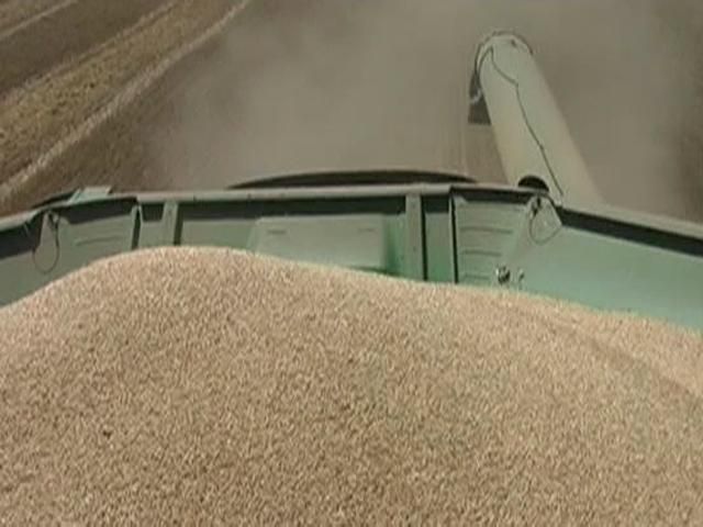 Аграрии уже собрали более 24 млн тонн зерна нового урожая