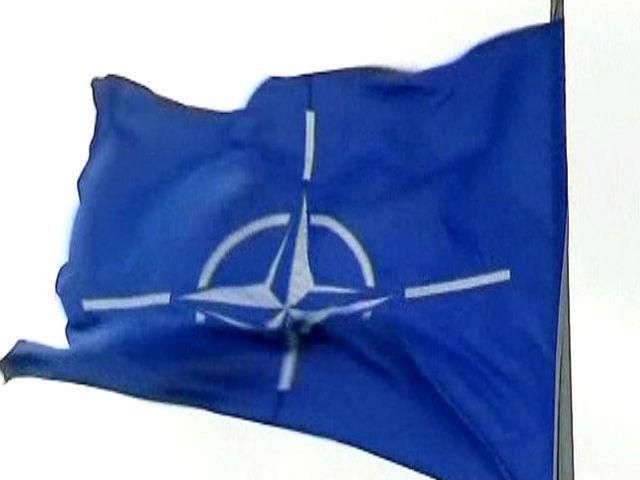 Україна бере курс на НАТО, експерти наголошують – потрібно відповідати критеріям альянсу