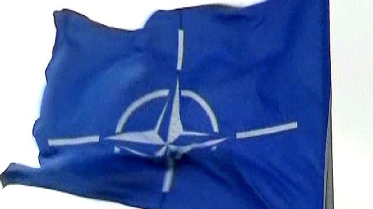 Украина берет курс на НАТО, эксперты отмечают — нужно отвечать критериям альянса