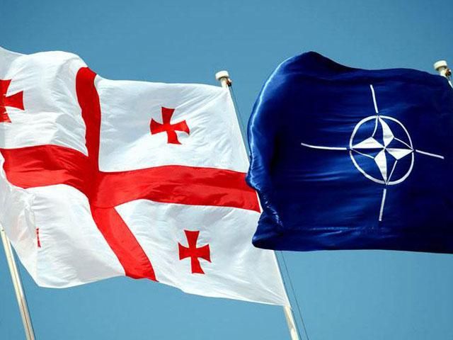 На саммите НАТО Грузия попросится в альянс