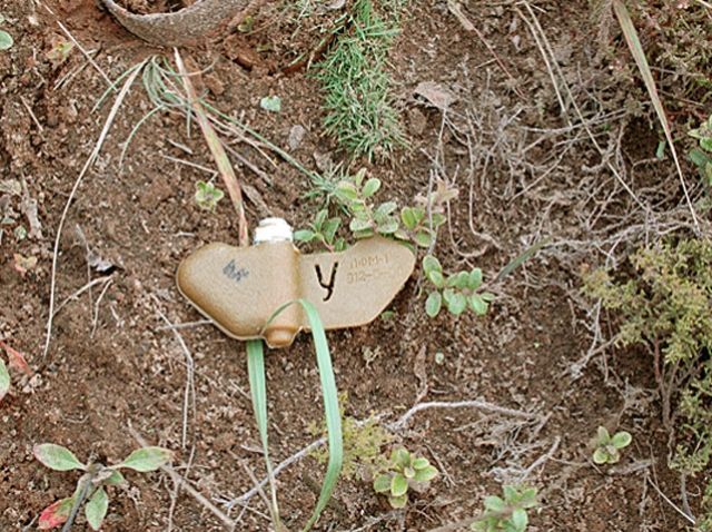 Російські війська, відступаючи з Широкиного, замінували територію, — "Азов" Російські війська, відступаючи з Широкиного, замінували територію, — "Азов"