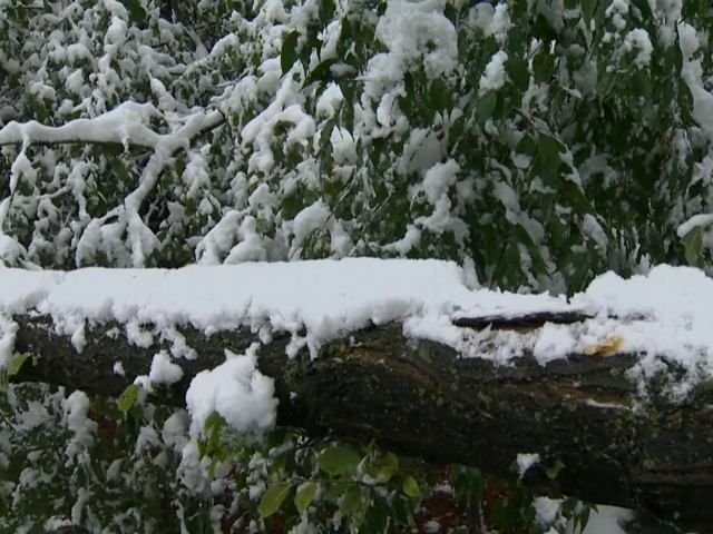 На заході Канади випав сніг (Відео) На заході Канади випав сніг (Відео)