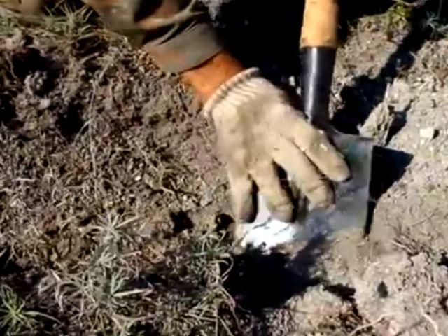 Будні саперів. Бійці показали, як знищують снаряди, залишені терористами (Відео) Будні саперів. Бійці показали, як знищують снаряди, залишені терористами (Відео)