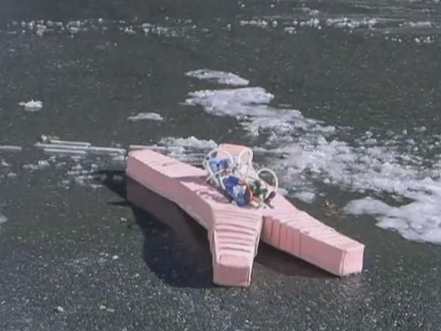 Науковці Гарвардського університету розробили еластичного робота Науковці Гарвардського університету розробили еластичного робота