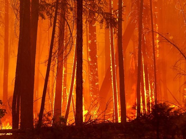 В США горит национальный парк